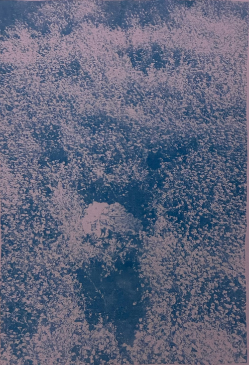 Body Print in Flowers