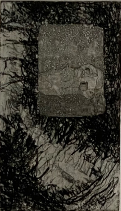 Between Sleep and Motion